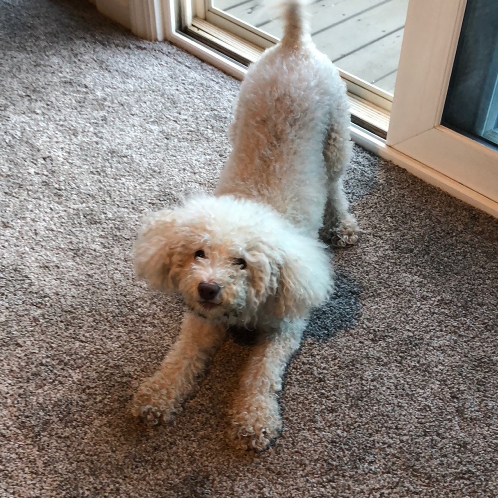 Meet your Posher, Jill